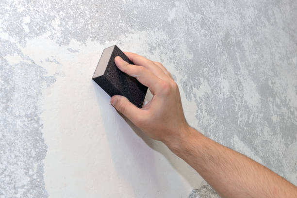 Best Comprehensive Air Testing for Mold Contaminants  in Arnold, CA
