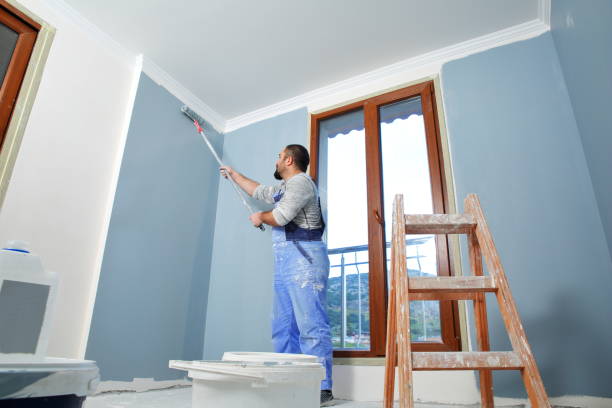 Best Mold Removal for HVAC Installations  in Arnold, CA