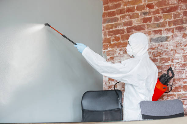 Best Asbestos and Lead Testing During Mold Inspection  in Arnold, CA