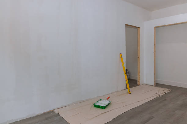 Reliable Arnold, CA Mold Removal Solutions