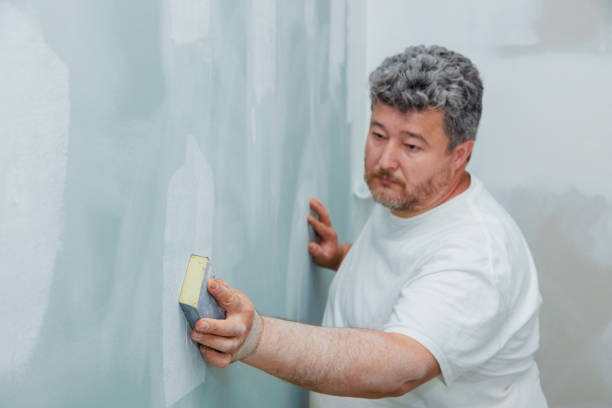 Best Environmental Consulting for Mold Prevention  in Arnold, CA