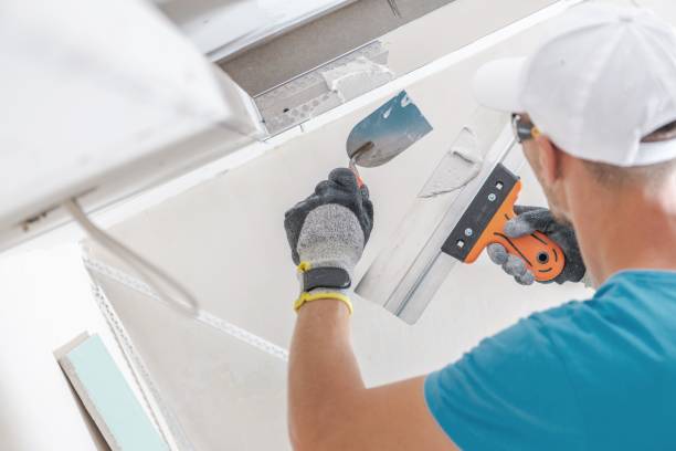 Best Commercial Mold Inspection  in Arnold, CA